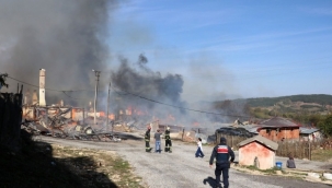 Bolu'da köyde çıkan yangın 12 evi kül etti 