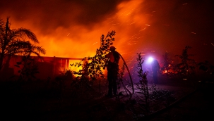 Yangınlar nedeniyle 100 bin kişiye tahliye emri 