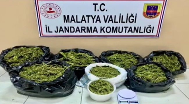 Çatıyı esrar üretim üssüne çevirmişler 