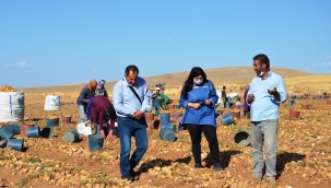 "Ürün envanterimizi genişletmeliyiz"