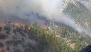 Feke'deki orman yangını kontrol altına alındı 