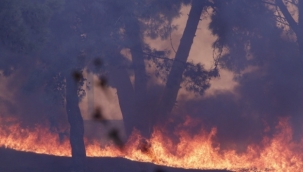 Hatay'daki yangın farklı noktalara sıçradı 