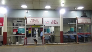 İzmir'de sahte içkiden ölenlerin sayısı 33 oldu 