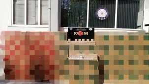 Kaçakçılık operasyonu 1 gözaltı!