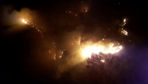 Kahramanmaraş'ta orman yangını 