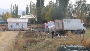 Kamyon şoförünün manevrası faciayı önledi 