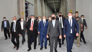 'Kayısıda müdahale alımını başlattık'