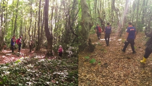Kestane toplamaya gittiği dağda kayboldu 