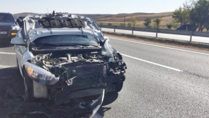 Köpeğe çarpan otomobil hurdaya döndü 