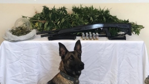 Malatya'da uyuşturucuya geçit yok 