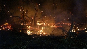 Mersin'de 3 ayrı noktada yangın çıktı