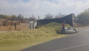 Mısır silajı yüklü tır devrildi: 1 yaralı 