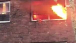 Alevlerin arasında kalan kedi camdan atlayarak kurtuldu 