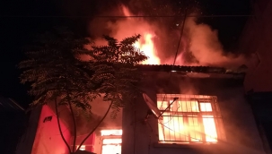 Onlarca kuş yanarak telef oldu 