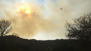 Osmaniye'de orman yangını çıktı alevler evlerede sıçradı