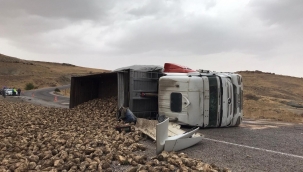 Pancar yüklü tır devrildi: 1 yaralı 