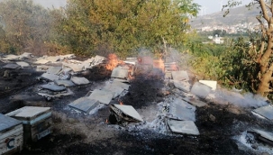 Samandağ'daki yangın sigara izmaritten çıkmış 