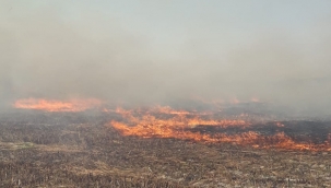 Sultan Sazlığı Kuş Cenneti'nde Yangın 