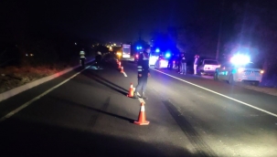 Tır çarpması sonucu ölen kadının kimliği belli oldu