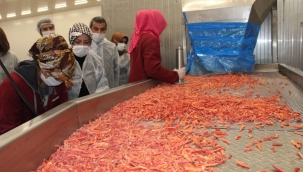 TKDK desteğiyle 3 bin istihdam! 