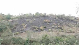 Trabzon'daki örtü yangını 