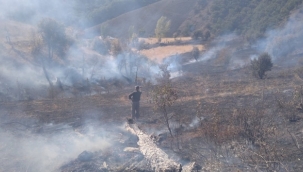 Tunceli'de iki noktada yangın çıktı 