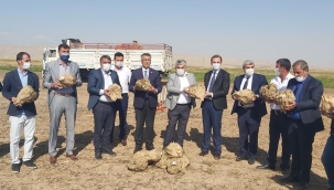 Yazıhan'da birinci kalite pancar üretimi 