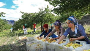 12 bin çocuğa ulaşılacak 