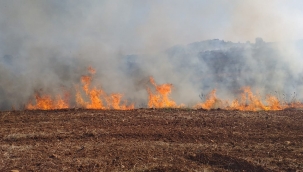 Antalya'da makilik alanda yangın 