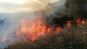 Bilecik'te makilik alanda yangın 