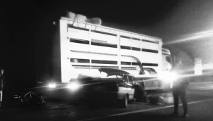 Bingöl'de trafik kazası: 1 ölü 1 yaralı 