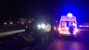 Domuza çarpan araç takla attı: 1 yaralı