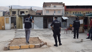 Güvercin tutkusu canında ediyordu! 