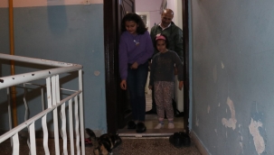 Harçlıkları ile sokak hayvanlarını besliyor