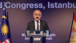 Hazine ve Maliye Bakanlığı'na Elvan atandı