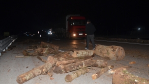Kamyondaki odunlar karayoluna düştü 