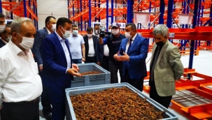 Kayısıda 10 ayda 207 milyon dolar gelir 