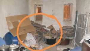 Kömürlükteki kartonların arasından çıktı