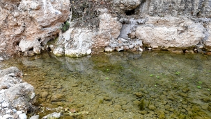 Maski su kaynağı buldu!