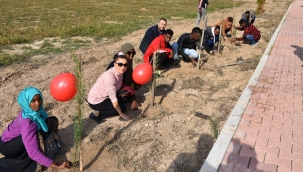 MTÜ Senatosundan TÖMER Öğretim Sistemi 