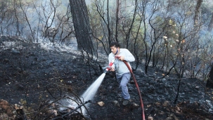 Muğla'da orman yangını 