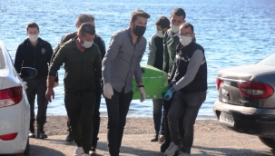 Sahilde cesetle karşılaşınca şoke oldu