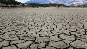 Sinop'ta ikiz göletler kurudu 