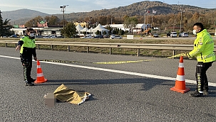 TEM otoyolunda feci kaza 1 ölü 2 yaralı