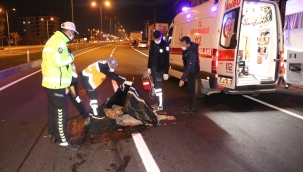 Tırın çarptığı yaya feci şekilde can verdi