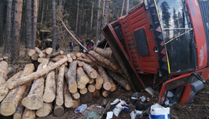  Tomrukların altında hayatını kaybetti