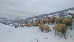Tunceli'de kar yağışı 
