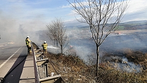  20 dönüm sazlık alan yandı 