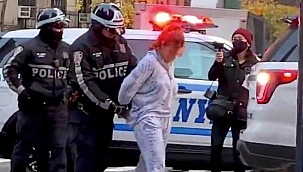 ABD'de araç göstericilerin arasına daldı