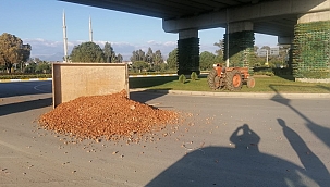 Bağlantı demiri kopan römork devrildi 
